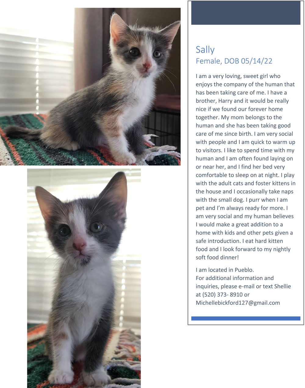 Sally-3