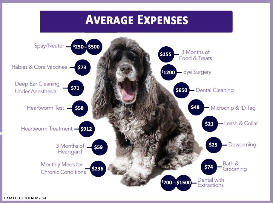 AverageExpenses