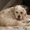 Lucy L 25-18002-2