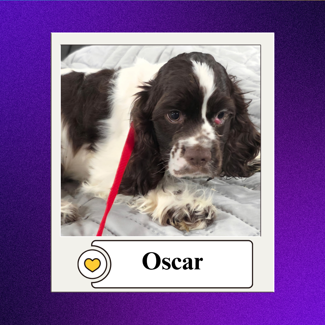 Oscar