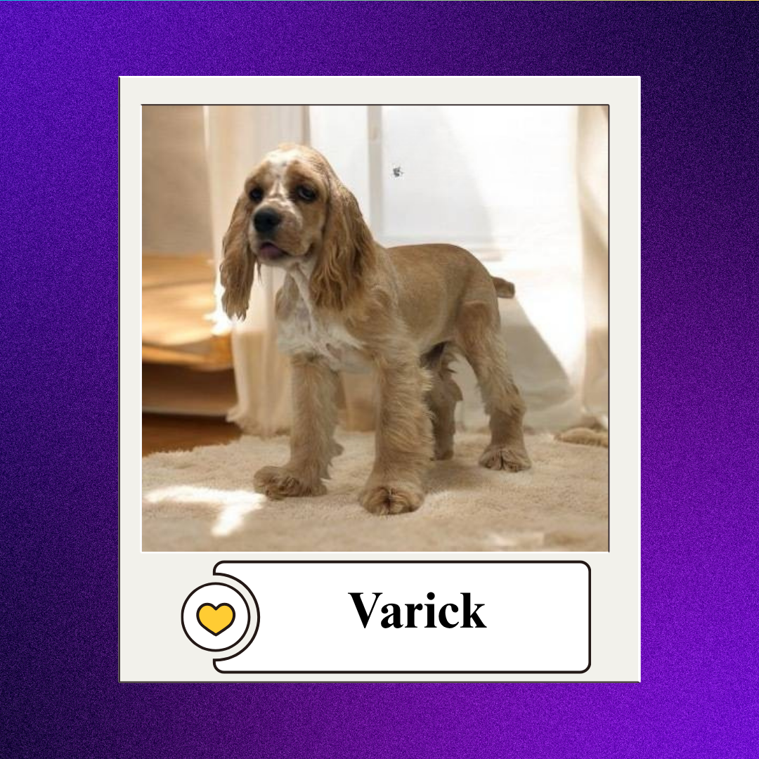 Varick