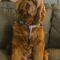 Sandy A 26081